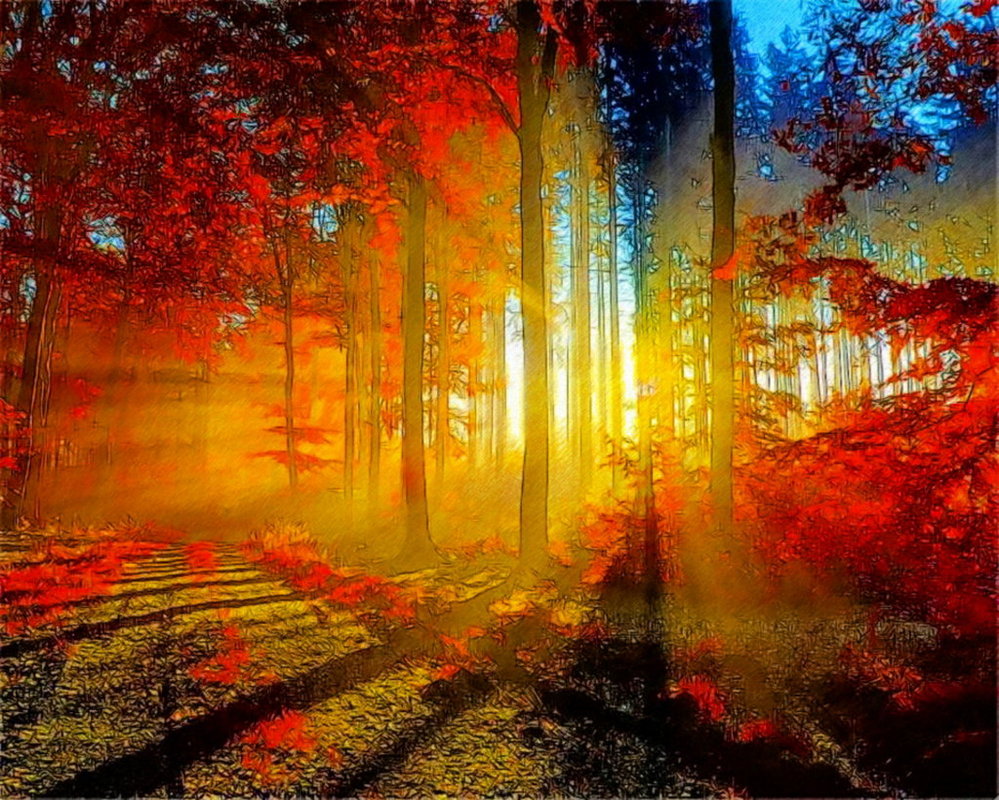 999x800 Sunlight Through The Trees By T Douglas Painting - Sunlight Painting