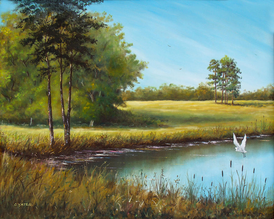 900x719 Sunny Meadow Painting By Charles Yates - Sunny Painting