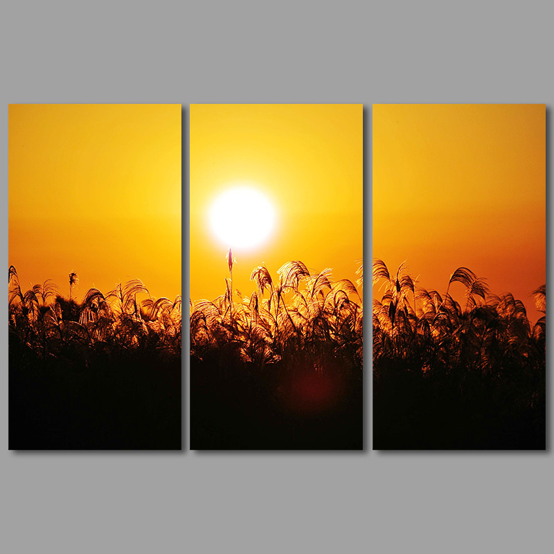 800x800 Big Size Straw 3pcs Village Decoration Sun Wall Art Pictures - Sunrise Canvas Painting
