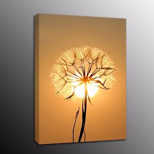300x300 Hd Canvas Print Dandelion Sunshine Painting Picture Wall Art - Sunshine Painting