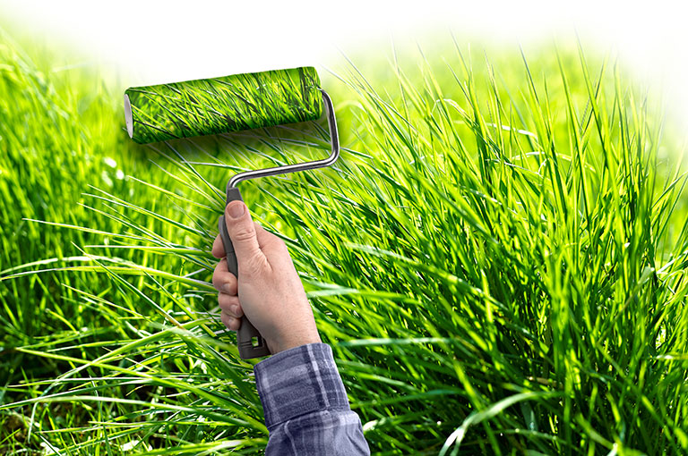 768x510 Enviropainter - Sustainable Painting