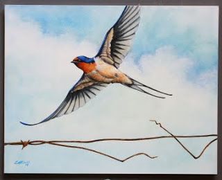 320x260 Barn Swallow Painting Barn Swallow Watercolor Update - Swallow Painting