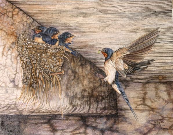 597x465 His Loved Mansionry Macbeth - Swallow Painting