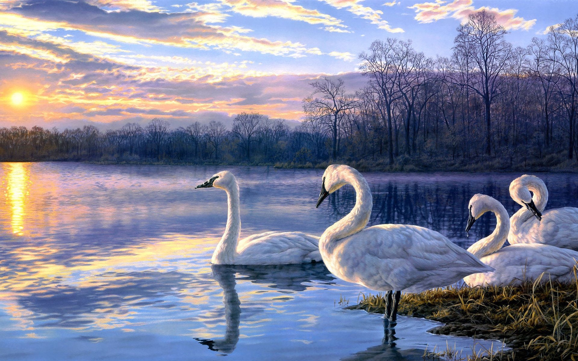 1920x1200 Swan Lake Painting - Swan Lake Painting