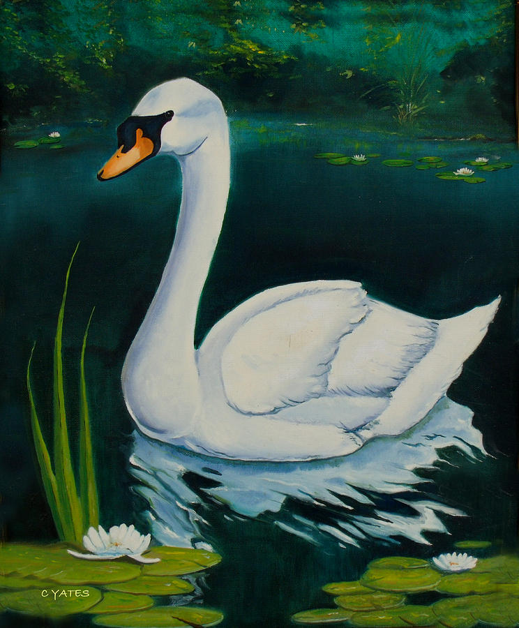 744x900 Swan Painting By Charles Yates - Swan Painting