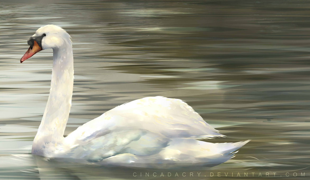 1173x681 Swan Painting By Cindacry - Swan Painting
