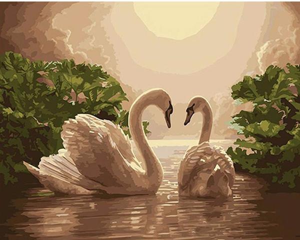 600x481 Diy Painting By Numbers - Swan Painting