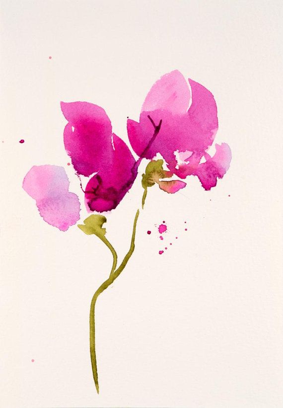 570x821 Sweet Pea Flower Watercolor Painting - Sweet Pea Painting