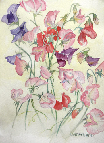 366x500 Sweet Peas. Barbara Philip - Sweet Pea Painting