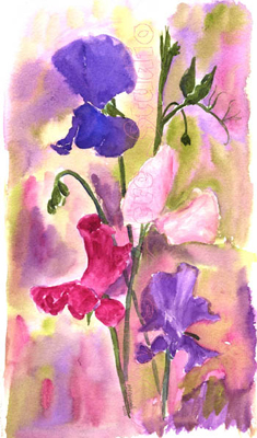 235x400 Watercolour Painting Entitled Sweet Peas - Sweet Pea Painting