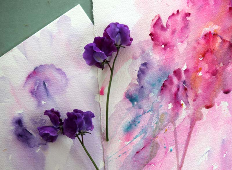800x586 Watercolours With Life Painting From Life Sweet Pea In Watercolour - Sweet Pea Painting