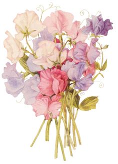 236x329 Silk Painting - Sweet Pea Painting