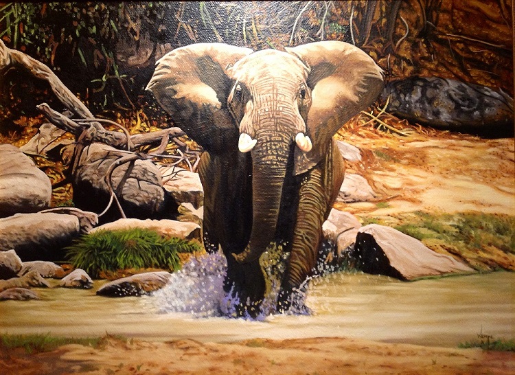 750x546 James Wempe - Swimming Elephant Painting