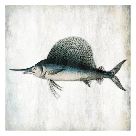473x473 Swordfish Profile Posters By Jace Grey - Swordfish Painting