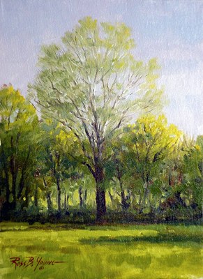 Sycamore Tree Painting at PaintingValley.com | Explore collection of ...