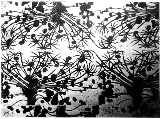 523x387 Syd Barrett Painting - Syd Barrett Painting