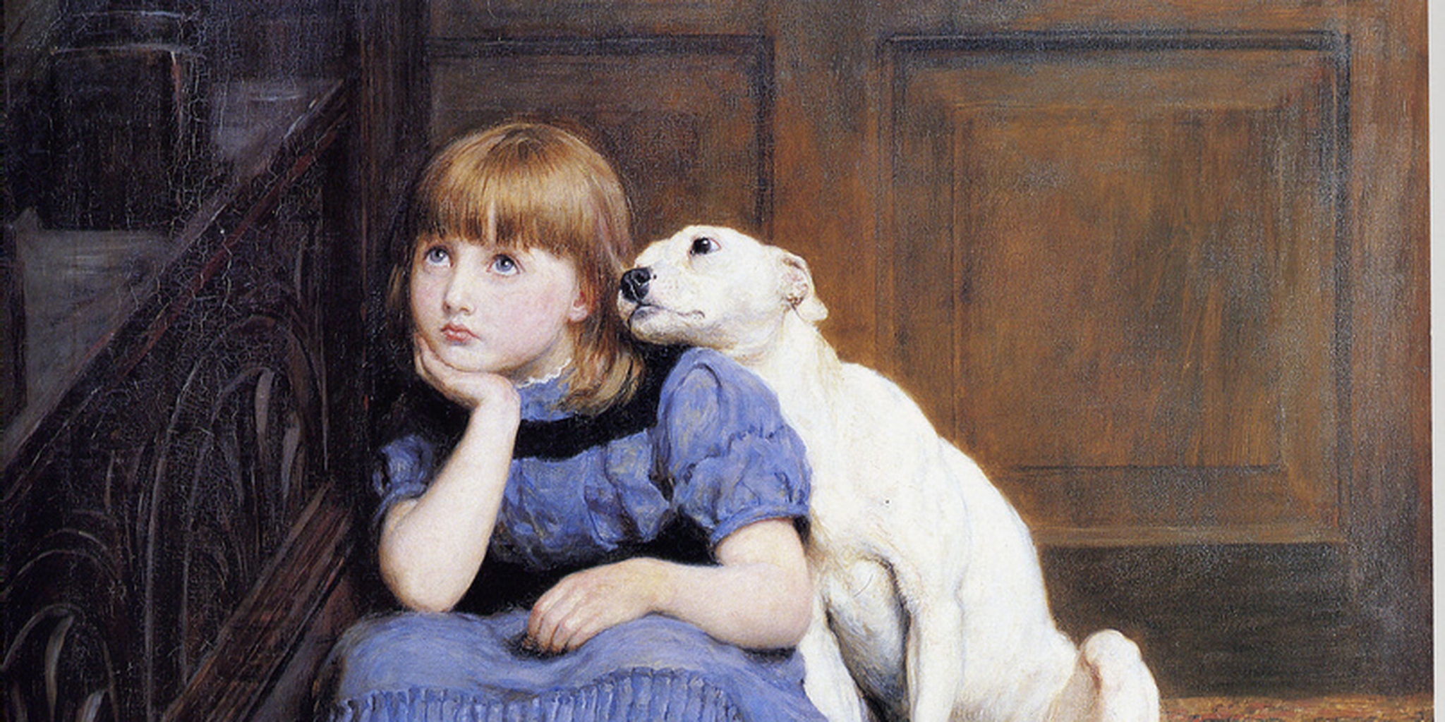 2048x1024 Don'T Want - Sympathy Painting