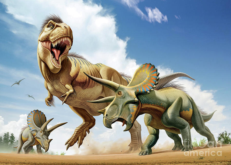 900x642 Tyrannosaurus Rex Is Fighting With Two Triceratops Painting By - T Rex Painting
