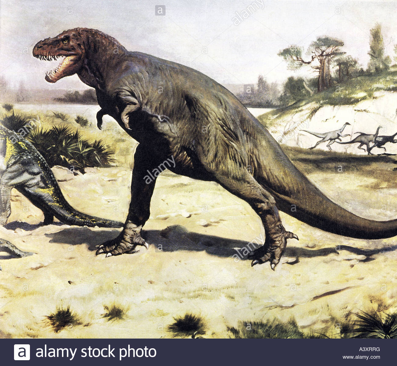 1300x1200 Aeon, Animals, Saurian, Dinosaur, Tyrannosaurus Rex, Oil Painting - T Rex Painting