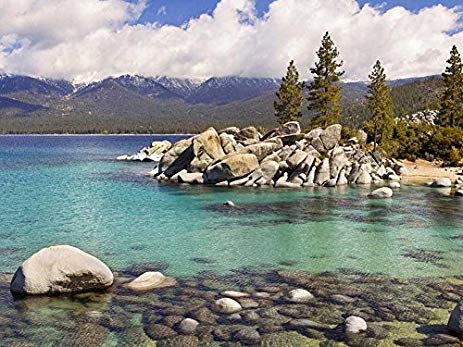 463x347 Friday's Chance Lake Tahoe - Tahoe Painting