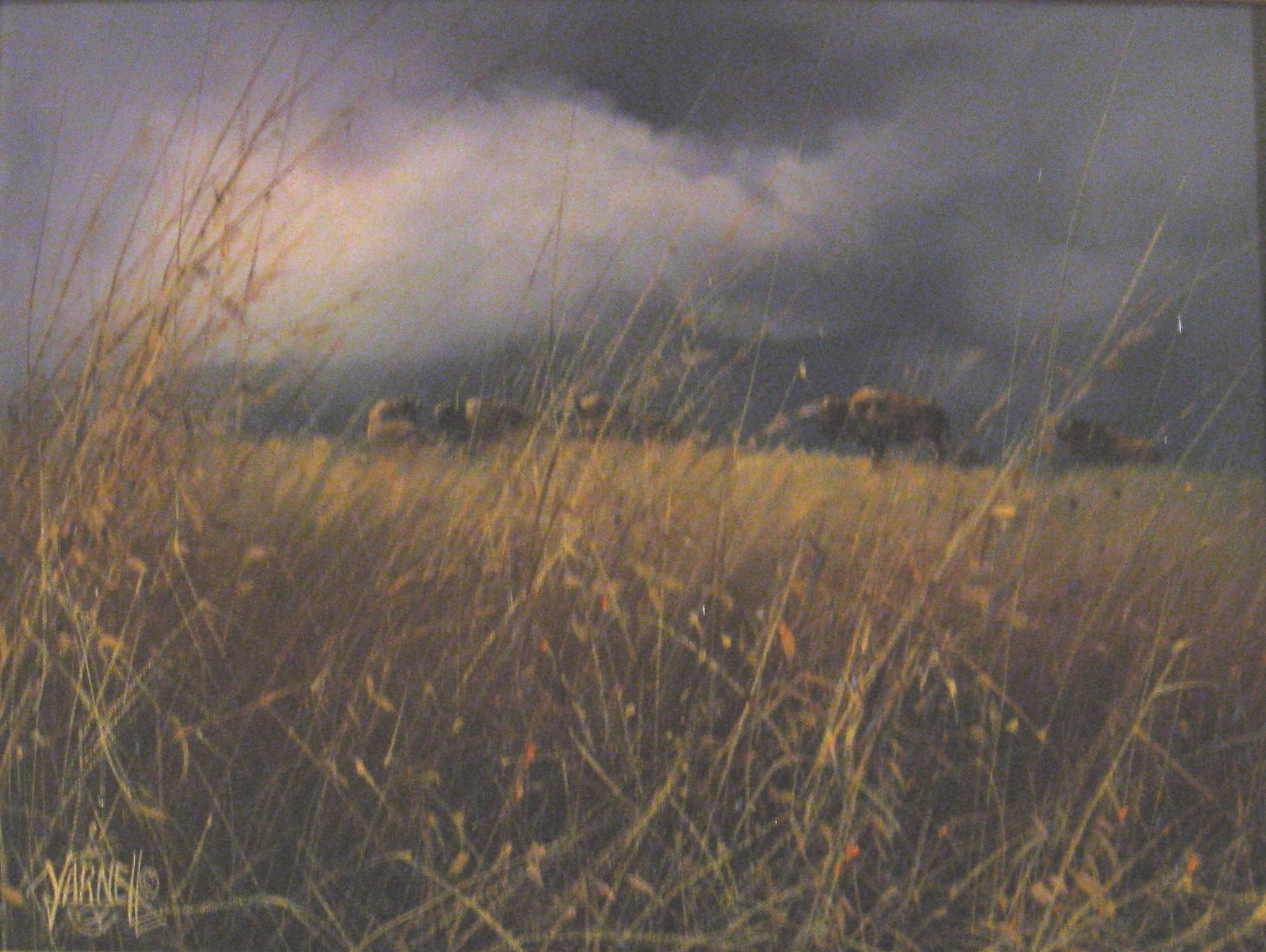 2038x1533 Tall Grass Prairie! The Gun Carryin' Librarian - Tall Grass Painting