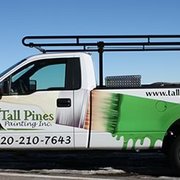 180x180 Tall Pines Painting - Tall Pines Painting