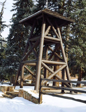 295x385 Evergreen Colorado Painters - Tall Pines Painting