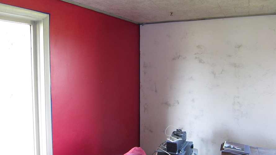 890x500 Life Among The Tall Pines Painting The Living Room - Tall Pines Painting