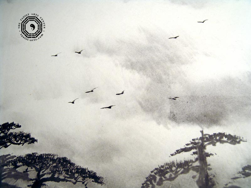 800x600 Wallpaper - Tao Painting