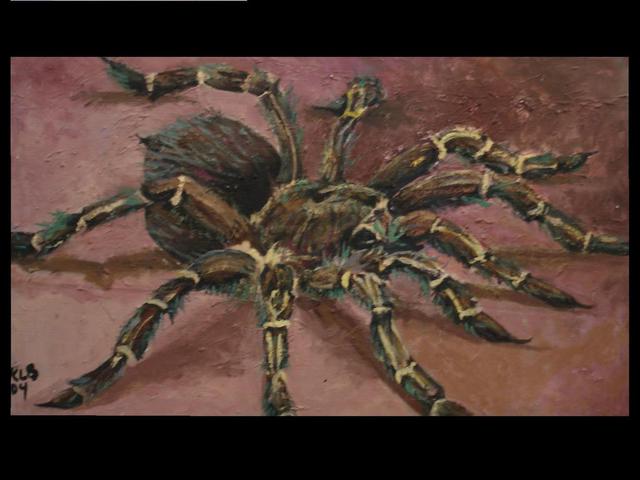 640x480 Kandice Braswell Artwork Tarantula Original Painting Oil - Tarantula Painting