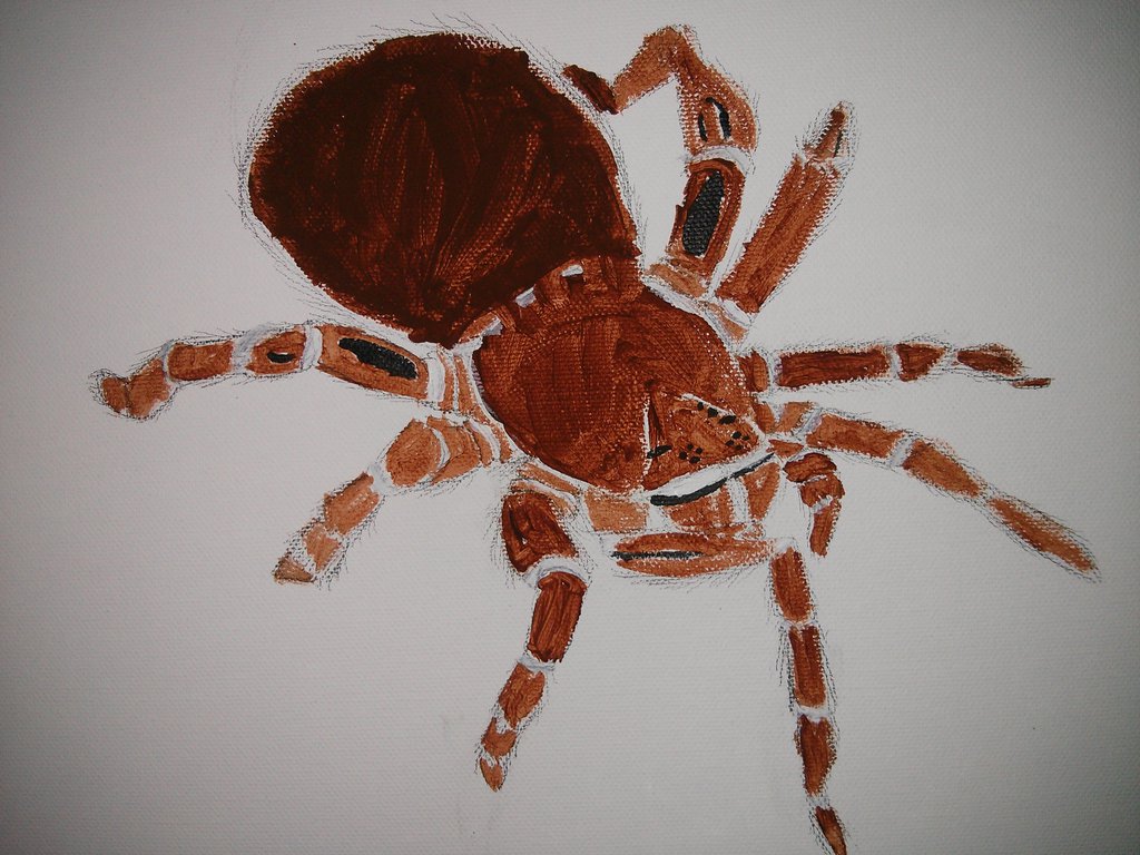 1024x768 King Baboon Tarantula(Painting) By Freshmerchant - Tarantula Painting