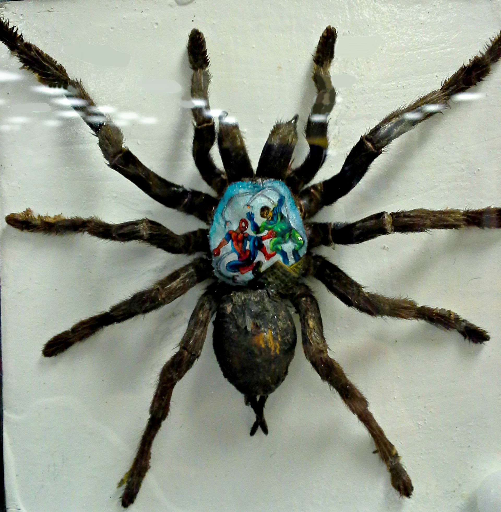 1920x1959 Believe It Or Not Candy Michael Jackson, Tarantula Art, - Tarantula Painting