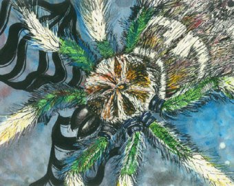 340x270 Tarantula Painting Etsy - Tarantula Painting