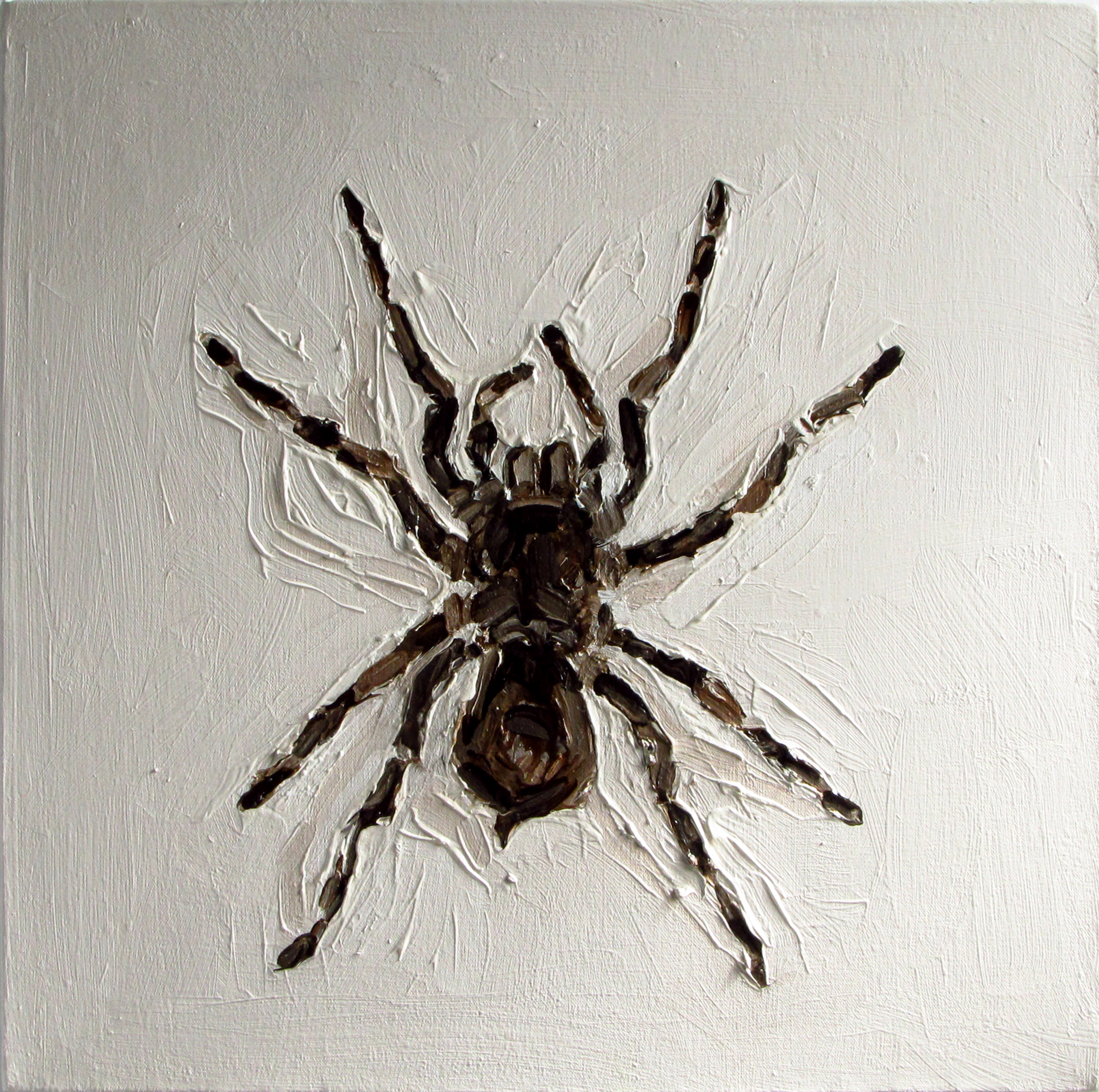 2285x2269 Tarantula Leah Williams - Tarantula Painting