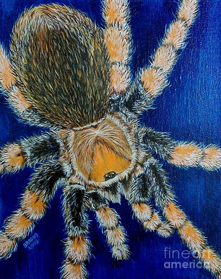 712x900 Tropical Tarantula Painting By Richard Brooks - Tarantula Painting