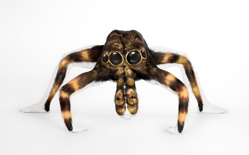 858x536 Body Painter Emma Fay Turns Flexible Model Into A Real Tarantula - Tarantula Painting