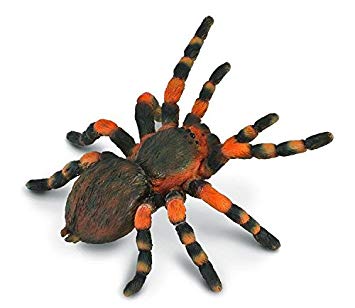 355x308 Collecta Insects Mexican Redknee Tarantula Toy Figure - Tarantula Painting