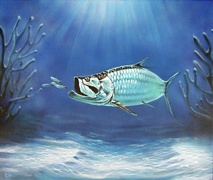 300x254 Tarpon Painting By Larry Cole - Tarpon Painting