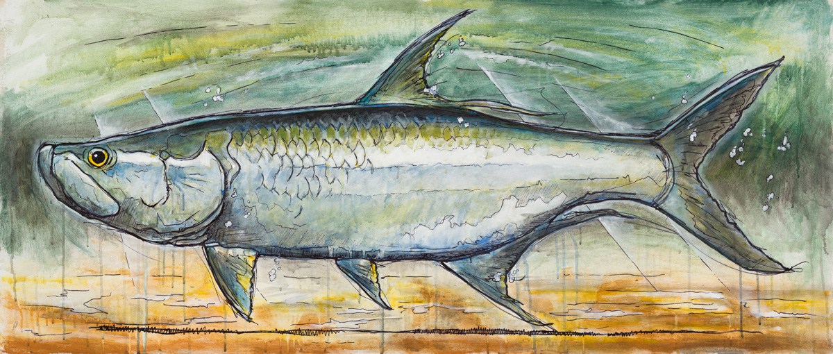 1200x510 The Florida Tarpon And Conservation - Tarpon Painting