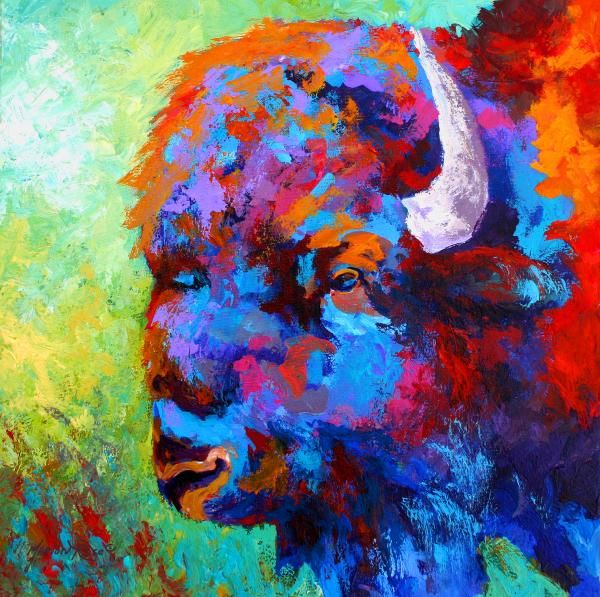 600x597 Bison Head .inspiration For A Taurus Painting. Art - Taurus Painting