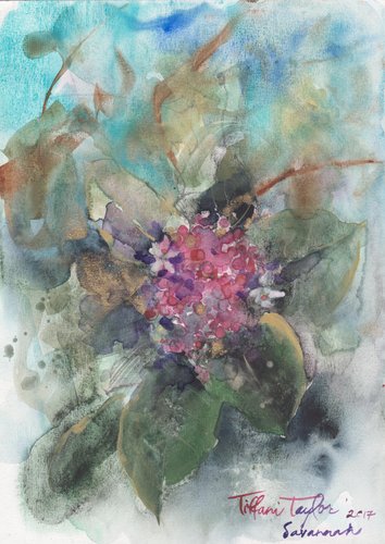 354x500 Sandalwood Study By Tiffani Taylor (2017) Painting Watercolor - Taylor Painting