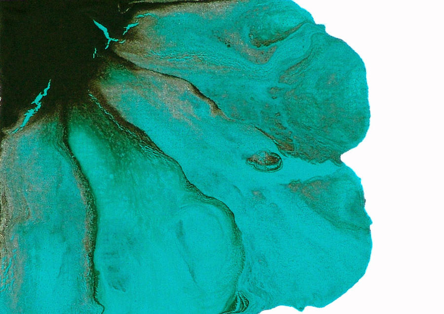 900x638 Original Aceo Flower Painting Tidal Painting By Catherine Jeltes - Teal Flower Painting