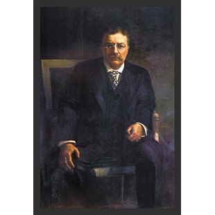 310x310 Teddy Roosevelt Quotes Wayfair - Teddy Roosevelt Painting