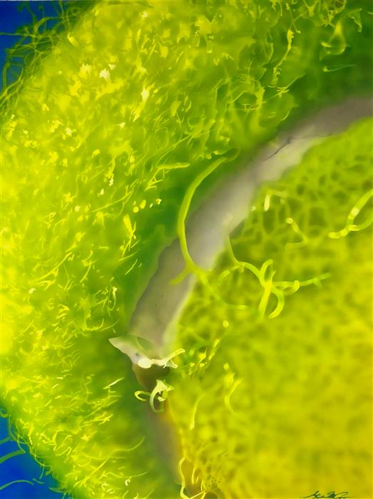 523x700 Tennis Ball By Stephen Capogna - Tennis Ball Painting