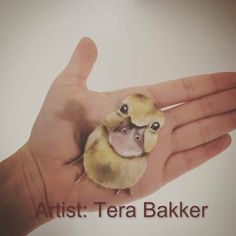 236x236 Tera Paint (Terapaint) - Tera Painting