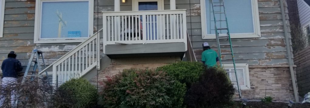 1022x357 Guide To The Best House Painting - Tera Painting