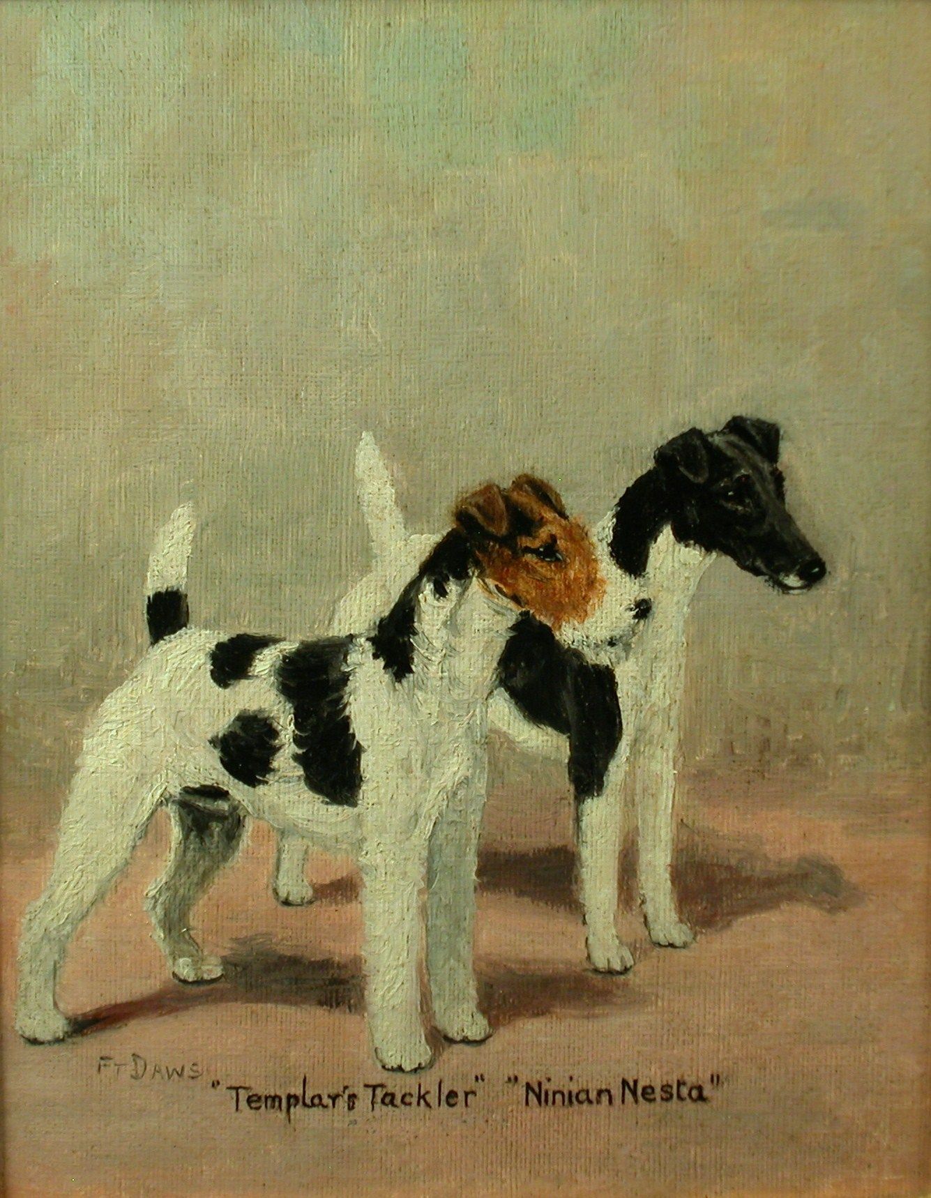 1335x1718 Click To See Full Size Fox Terrier By F. T. Dawes Wire Fox - Terrier Painting