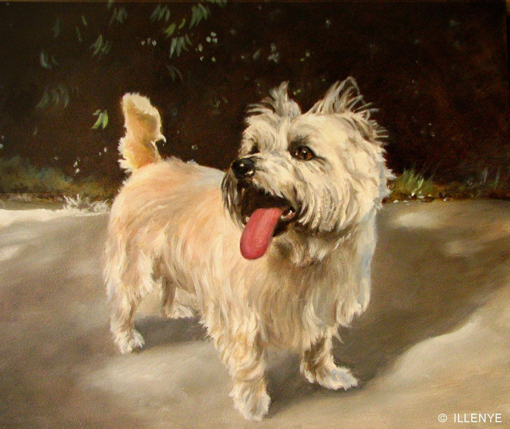 1000x842 Custom Dog Portraits Oil Painting White Cairn Terrier By Artist - Terrier Painting