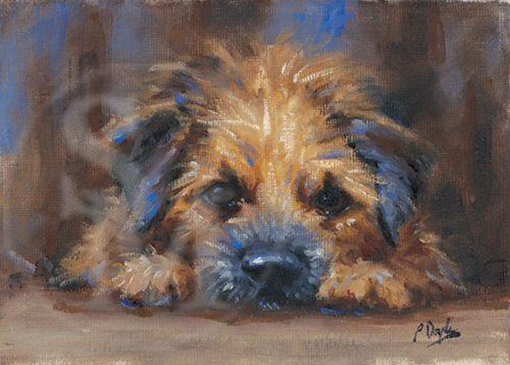 1000x716 I Am Not Moving!' Border Terrier Painting By Paul Doyle - Terrier Painting