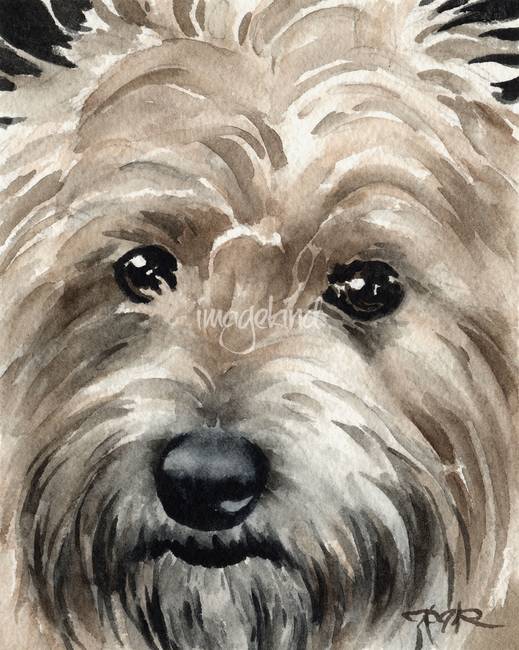 519x650 Stunning Terrier Watercolor Painting Reproductions For Sale - Terrier Painting